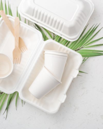 North America Eco-Friendly Food Packaging Market